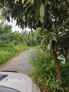 Income Report Januari 2026: Rp 6.850.000, Restart Bogor